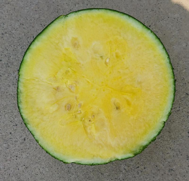 5dcf78517e15405da0571b54e4fc6f28.Jpeg
