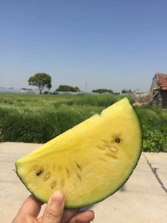 c85385f7b2994a3ea5bc97d05b6d29c9.Jpeg