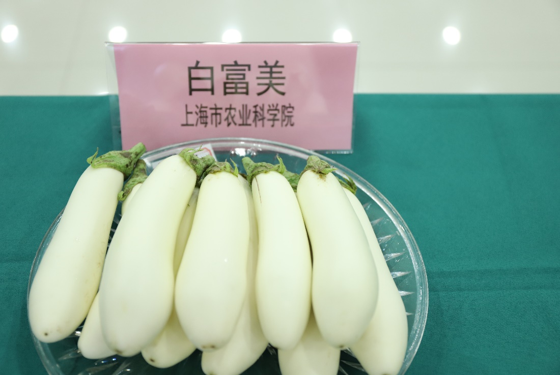 7d9cf30815bf4beaa1a6b33f1859a0d8.Jpeg