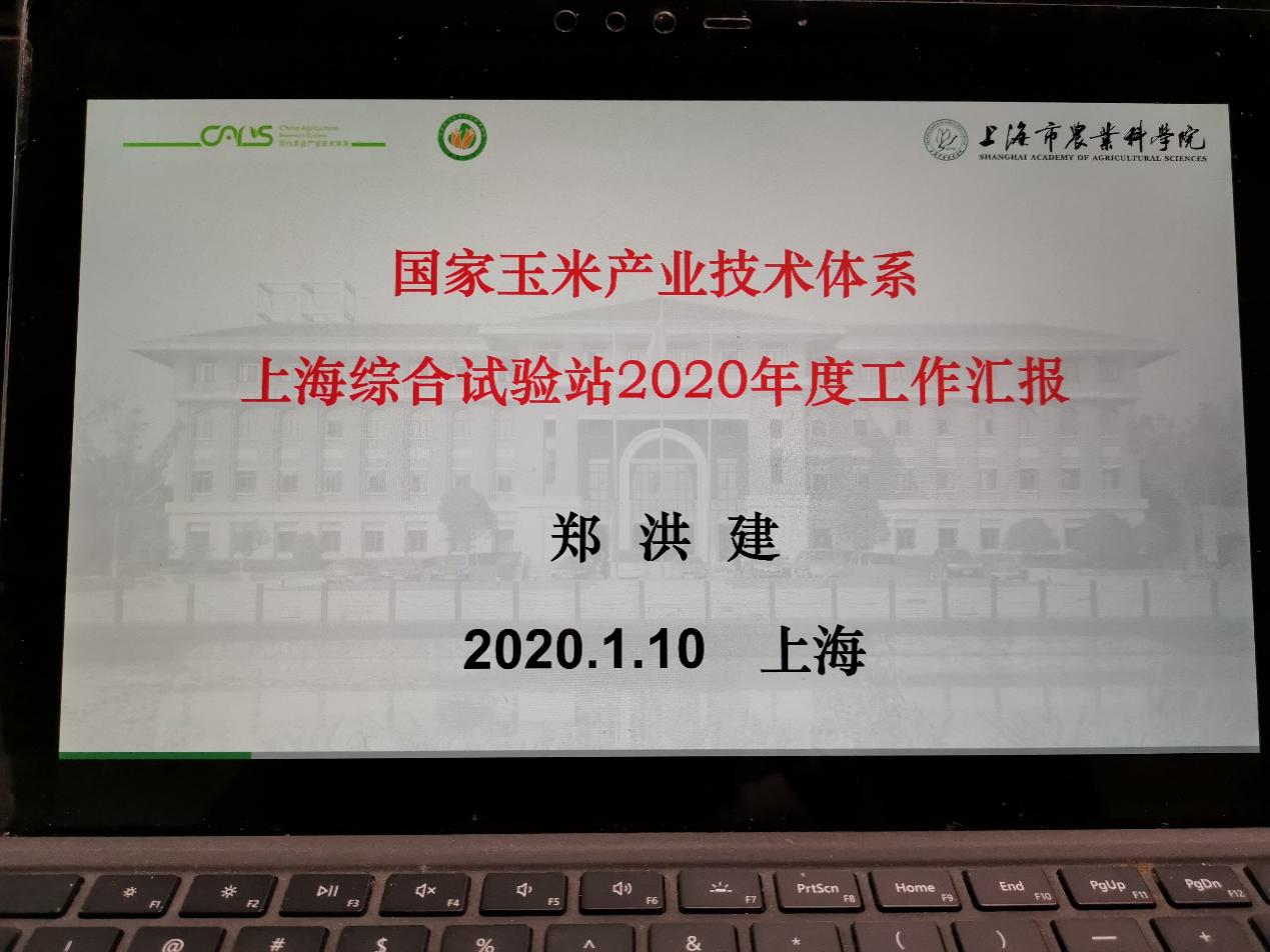 b2f0cf02cfb84cc1adc132a507033cec.Jpeg