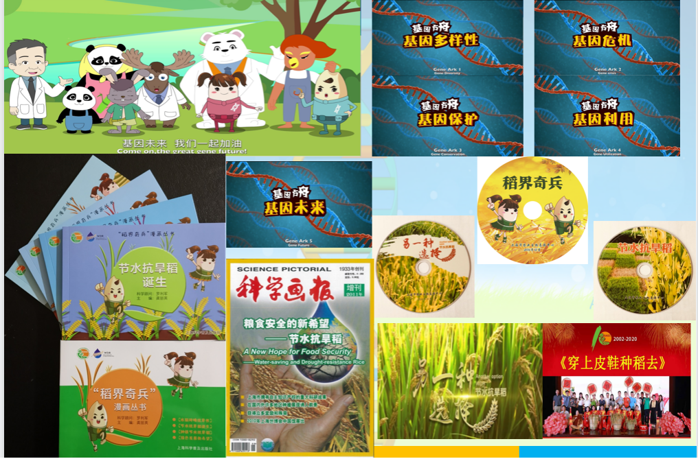 79581d33e4e64c71b15872a3af297ef6.Png