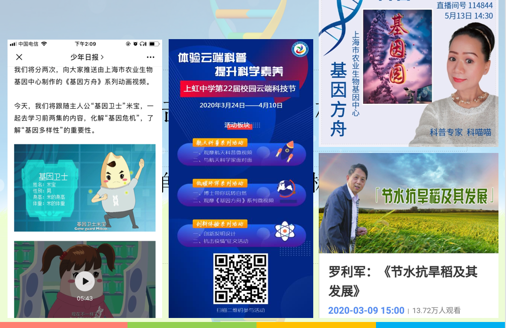 c12e3b78e103423dbacdb48be20bcc6e.Png