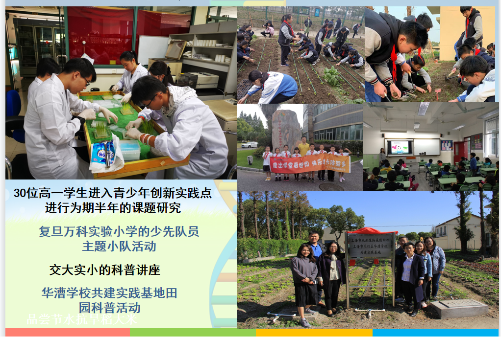 d8c11dcc96e740828ae71080df1d37ad.Png