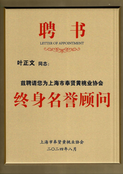 0a1a10da36a8496dac3abeb57819b324.Png