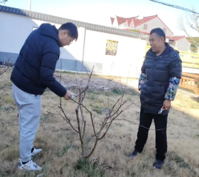cee170634d654c0ab4e5ad94f3ce3d75.Png