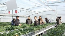 上海市瓜果产业技术体系病虫害防控专业组赴镇江市农业科学院考察交流