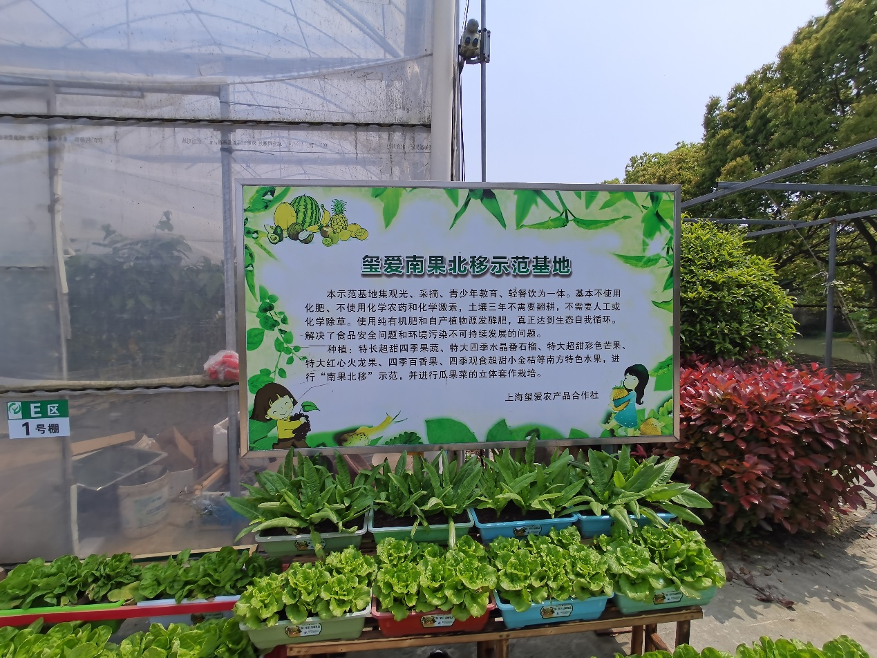 635c9a1c982a4b828835a105058e4192.Jpeg
