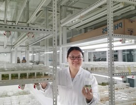 林木果树研究所--孙翊（2020-2021年度）