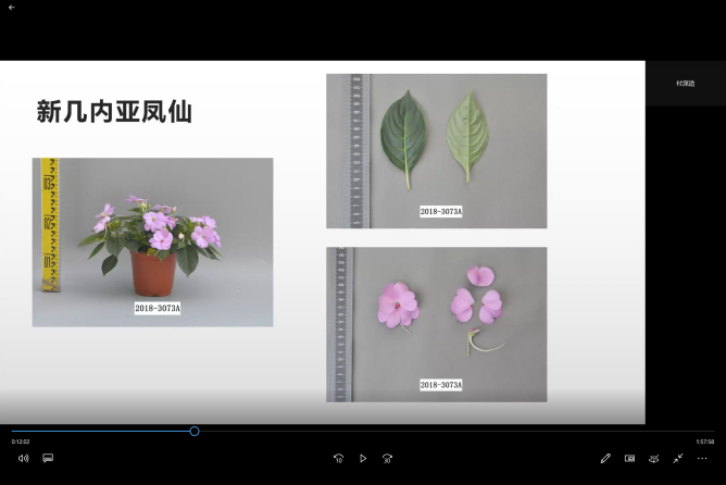 bfab612720b046929d904f662bf2e233.Png