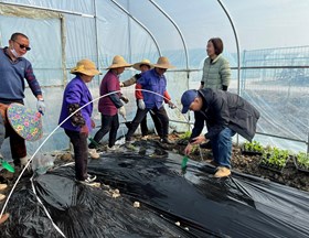 【先行区共建】对照先行区共建方案，落实西甜瓜工作指标