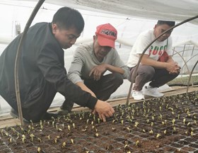 【先行区共建】园艺所科技人员赴金山基地指导春播工作