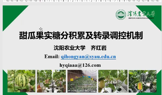 cfb8a622308a43e4bddc448eb376dff3.Png