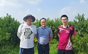 【先行区共建】我院作物所保鲜加工团队到吕巷水果公园落实“先行区”建设对接服务工作