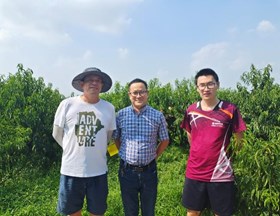 【先行区共建】我院作物所保鲜加工团队到吕巷水果公园落实“先行区”建设对接服务工作