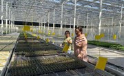园艺所科技人员赴金山松江开展合作洽谈及基地调研