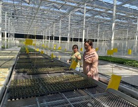 园艺所科技人员赴金山松江开展合作洽谈及基地调研
