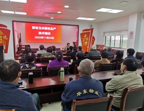 【先行区共建】作物所科技人员赴金山开展鲜食玉米绿色生产技术培训