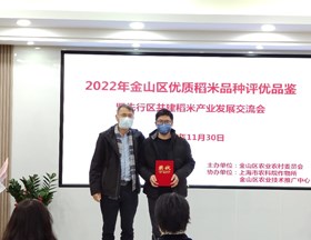 【​先行区共建】稻米产业发展交流会暨2022年金山优质稻米品质评优品鉴活动在金山举办