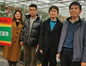 【先行区共建】国家大宗蔬菜产业技术体系上海试验站专家赴金山区进行茄子新品种示范调研