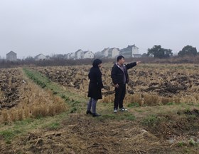 【先行区共建】生态所科技人员赴金山卫镇开展技术合作交流