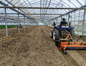 【先行区共建】我院科技人员赴金山开展青菜高密度移栽关键技术的试验、示范