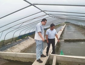 【先行区共建】生态所科技人员赴金山开展养殖和育苗技术指导