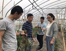 【先行区共建】生态所植物病理团队赴金山区开展乡村振兴技术服务和调研