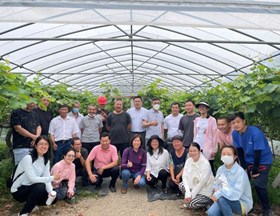 【先行区共建】国家葡萄产业技术体系上海站开展葡萄果实标准化管理技术现场培训