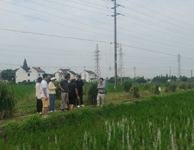 【先行区共建】我院粳稻研究团队布局杂交粳稻产量提升计划
