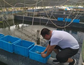 【先行区共建】生态所科技人员赴金山进行澳洲淡水龙虾育苗技术指导