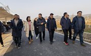 【先行区共建】国家桃产业技术体系首席姜全研究员等一行赴金山进行产业指导