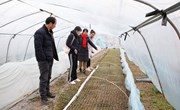 【先行区共建】生态所科技人员赴金山示范基地进行病害防控指导