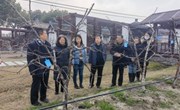 【先行区共建】国家桃产业技术体系专家来金山进行桃产业提质增效技术培训
