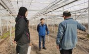 【先行区共建】林果所葡萄团队赴金山开展葡萄生产技术指导和培训