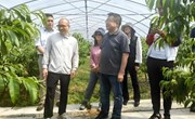 【先行区共建】林果所桃专家服务团赴金山区开展乡村振兴活动对接