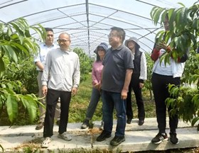 【先行区共建】林果所桃专家服务团赴金山区开展乡村振兴活动对接