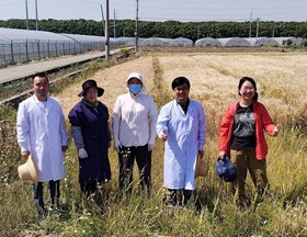 【先行区共建】生物所科技人员赴金山区开展大麦夏收技术指导