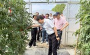 【先行区共建】项目引领 科技赋能