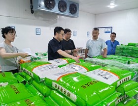 【先行区共建】我院农产品保鲜加工技术团队为金山稻米保鲜加工基地提供技术服务