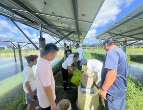 【先行区共建】生态所科技人员赴金山基地开展光伏池塘黄鳝养殖技术指导
