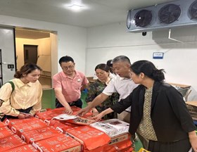 【先行区共建】我院作物所与市区农安专家赴金山盛致联合开展业务咨询技术服务活动