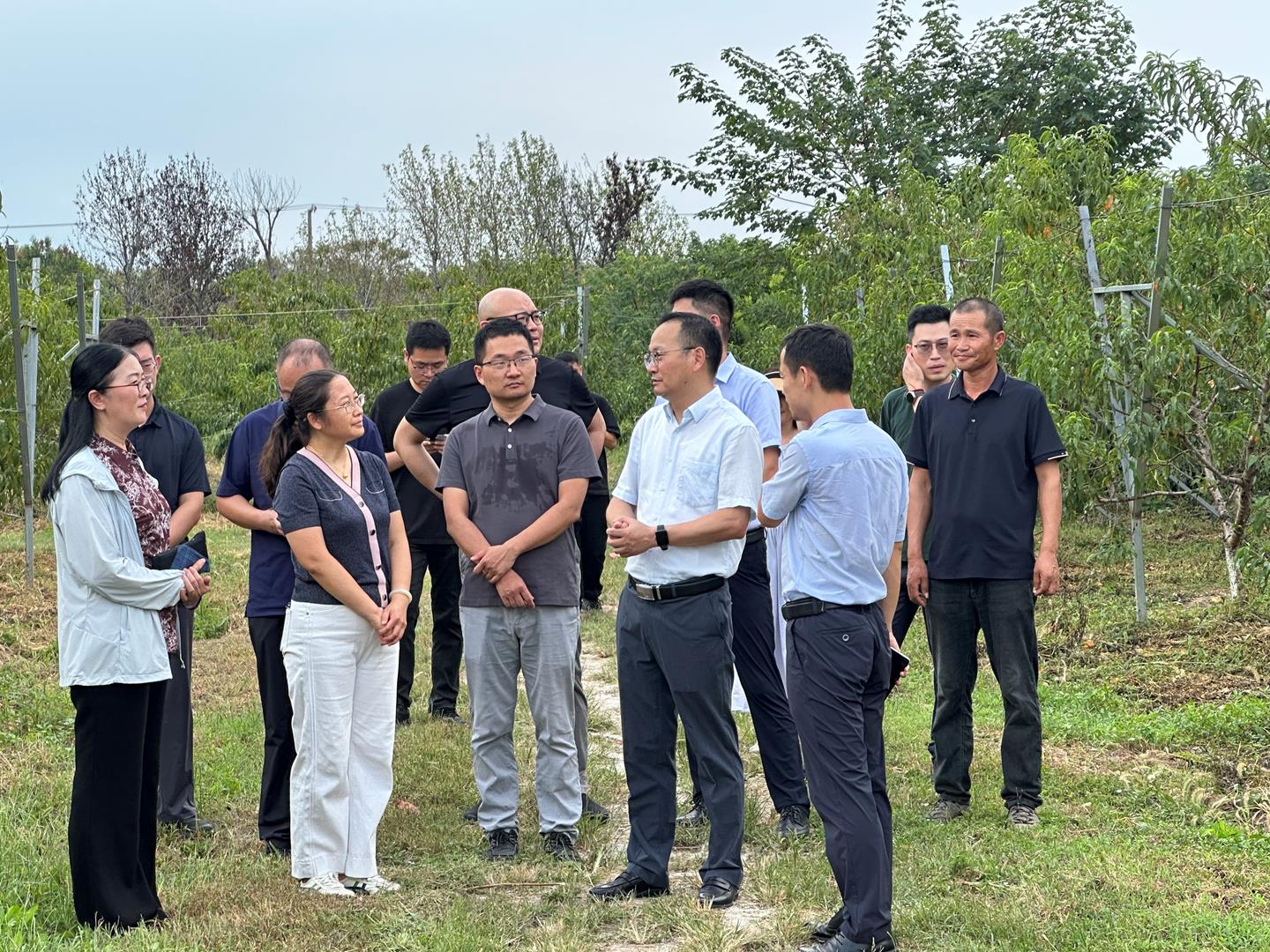 87aea172af7c408b81f342c63a279ca9.jpg 87aea172af7c408b81f342c63a279ca9.jpg