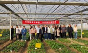 【先行区共建】科技赋能绿叶蔬菜生产 专家下基地助力乡村振兴