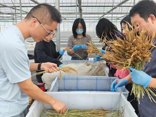 新农科交叉队（1组）第4周精彩瞬间