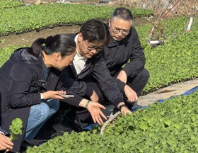 【先行区共建】院党委委员、副院长沈晓晖带队考察金山农业科技示范基地