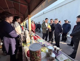 【先行区共建】我院受邀参展2025长三角乡村振兴大会（上海·金山）