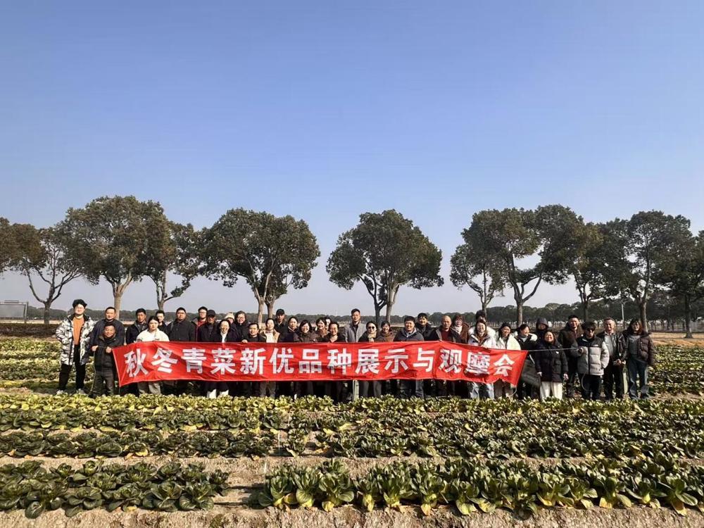 c7b6e56075dbeb23a57d1ea4f03368de