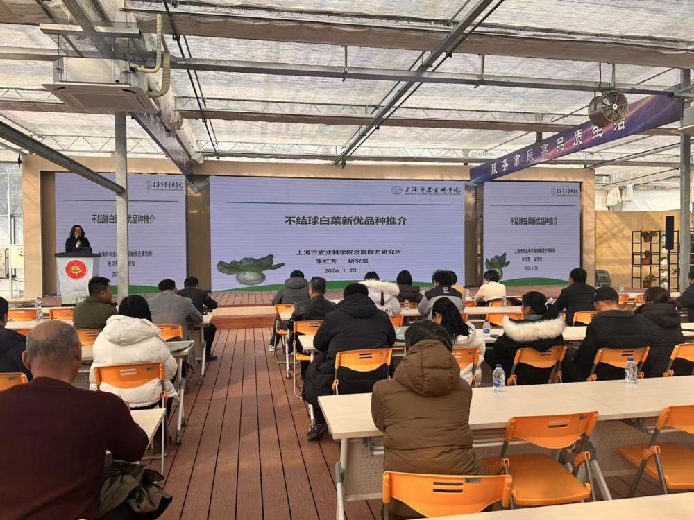 6f041e24e9b7268aede52e5f352dde0f