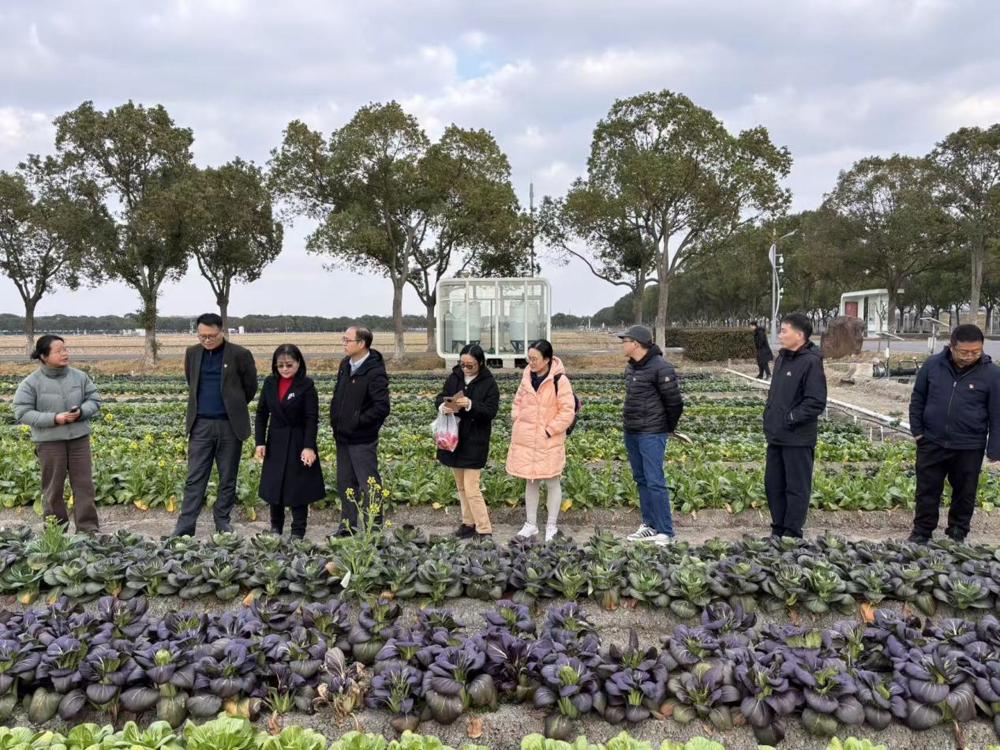 62e4348da64ea0af28418b6087c4fcca