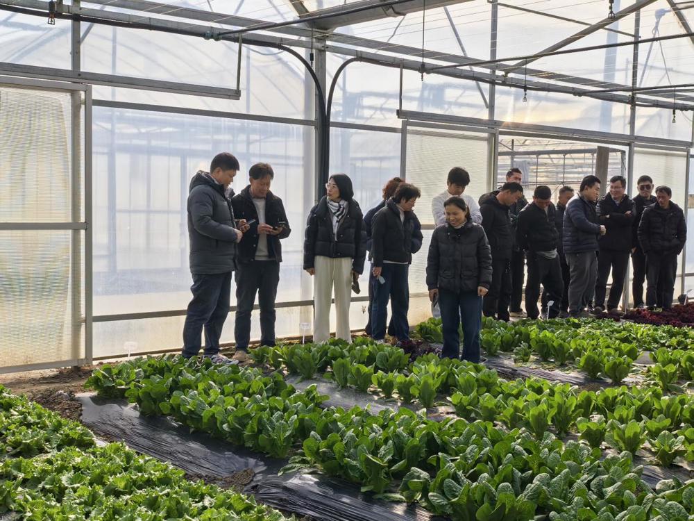 7bf97f71f7513f75b85e4bbff5633a5a